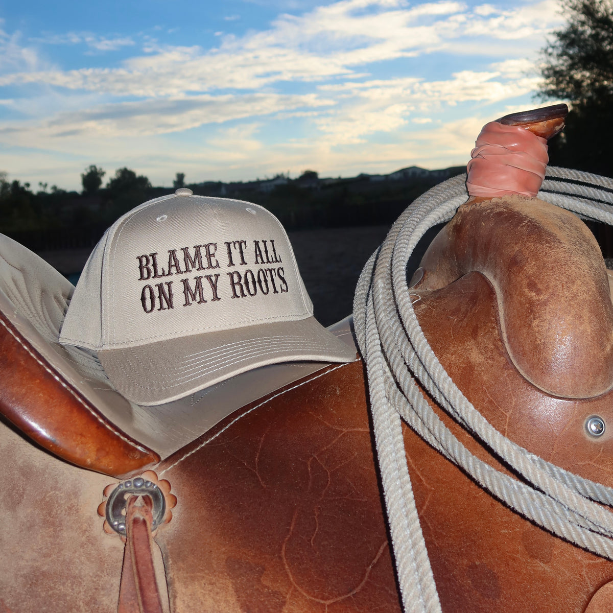 Blame it all on my Roots Classic Snapback