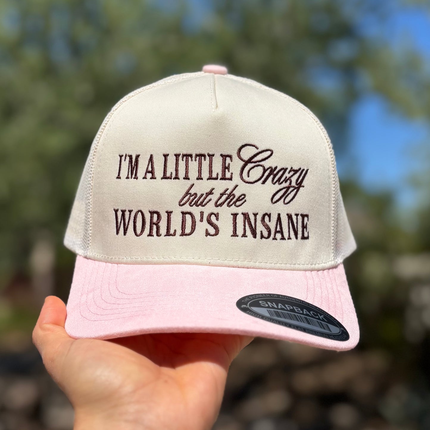 I'm a Little Crazy But The Worlds Insane Classic Snapback