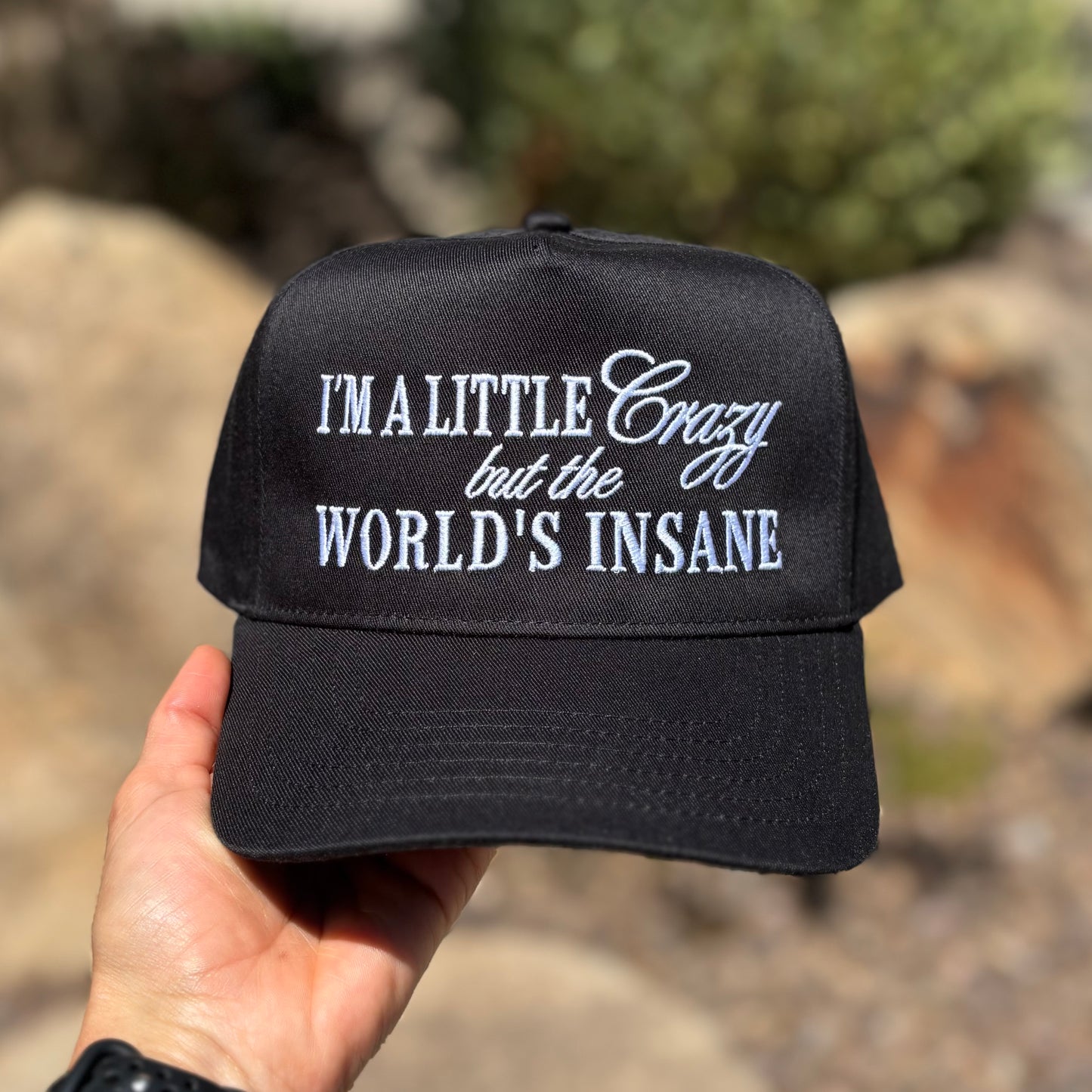 I'm a Little Crazy But The Worlds Insane Classic Snapback