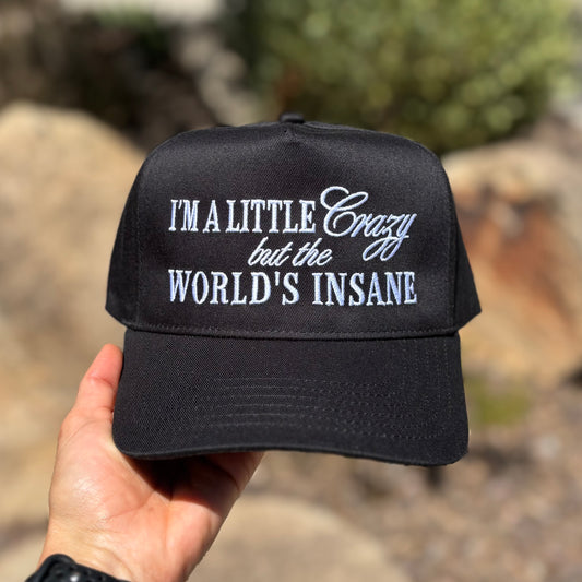 I'm a Little Crazy But The Worlds Insane Classic Snapback